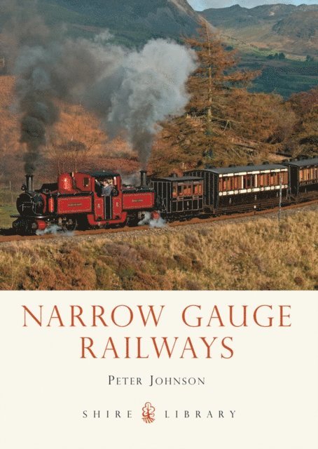 Peter Johnson - Narrow Gauge Railways, E-bok