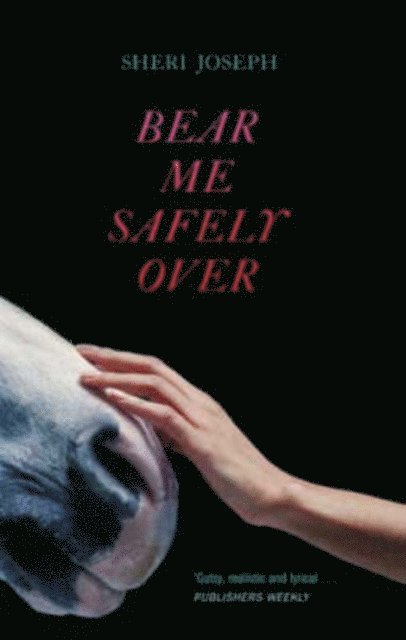 Sheri Joseph - Bear Me Safely Over, E-bok