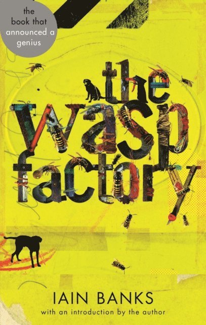 Iain Banks - Wasp Factory, E-bok