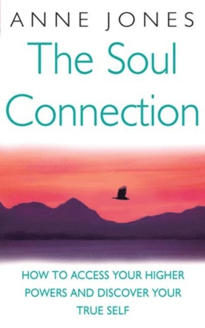 Anne Jones - Soul Connection, E-bok
