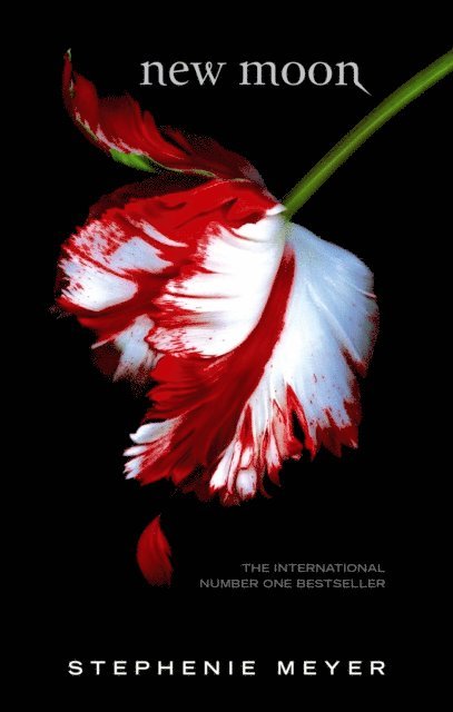 Stephenie Meyer - New Moon, E-bok