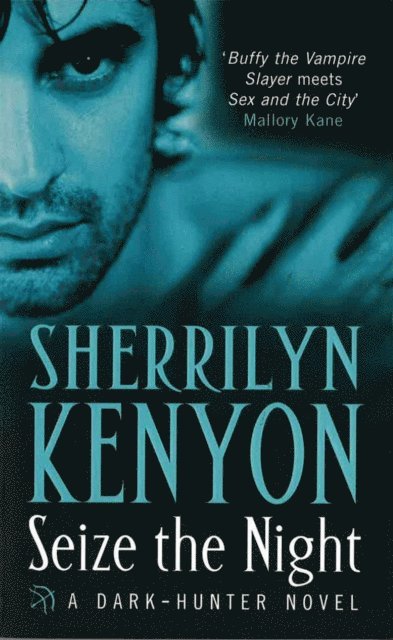 Sherrilyn Kenyon - Seize The Night, E-bok