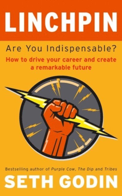 Seth Godin - Linchpin, E-bok