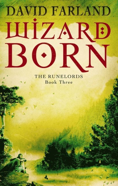 David Farland - Wizardborn, E-bok