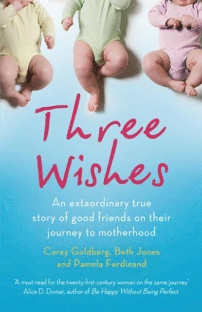 Pamela Ferdinand, Beth Jones, Carey Goldberg - Three Wishes, E-bok