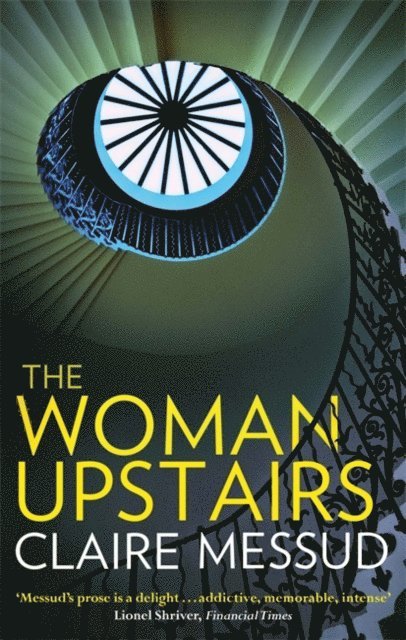 Claire Messud - Woman Upstairs, E-bok