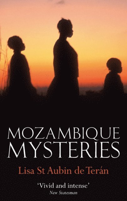 Lisa St. Aubin De Teran - Mozambique Mysteries, E-bok