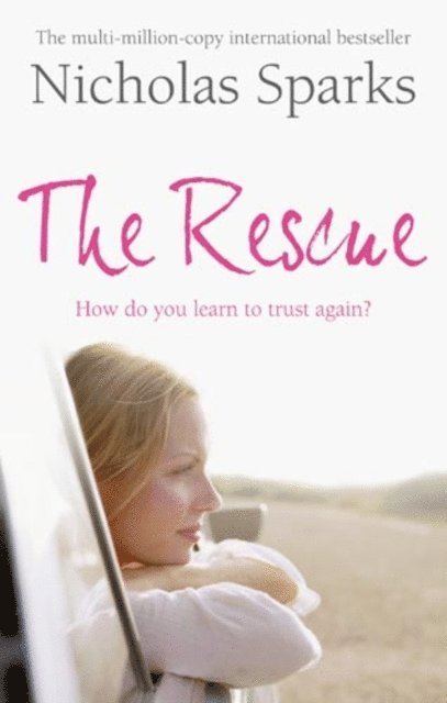 Anita Shreve - Rescue, E-bok