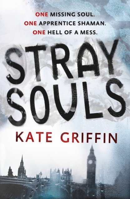 Kate Griffin - Stray Souls, E-bok