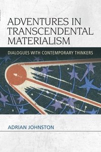 Adventures in Transcendental Materialism