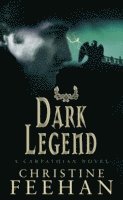 Christine Feehan - Dark Legend, Häftad
