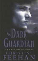 Christine Feehan - Dark Guardian, Häftad