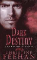 Christine Feehan - Dark Destiny, Häftad