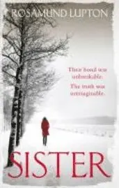Rosamund Lupton - Sister, Häftad