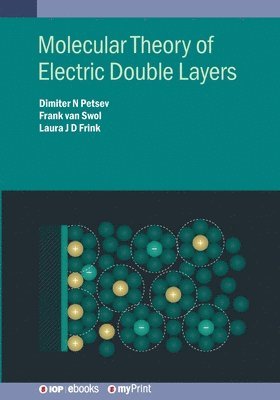 Dimiter N Petsev, Frank Van Swol, Laura J D Frink - Molecular Theory of Electric Double Layers, Häftad. Tillgänglighet: Lägg i varukorg