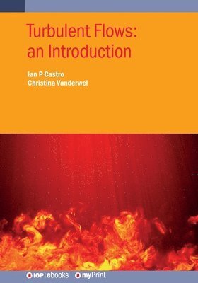 Ian P Castro, Christina Vanderwel - Turbulent Flows, Häftad. Tillgänglighet: Lägg i varukorg