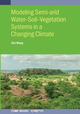 Modeling Semi-arid Water-Soil-Vegetation Systems
