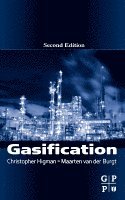 Christopher Higman, Maarten van der Burgt - Gasification, Inbunden