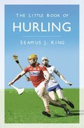 The Little Book of Hurling
