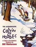 Authoritative Calvin And Hobbes
