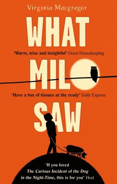 Virginia Macgregor - What Milo Saw, E-bok