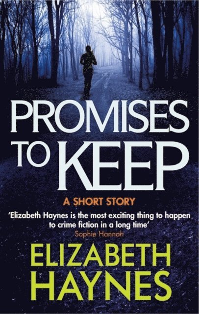 Elizabeth Haynes - Promises to Keep, E-bok