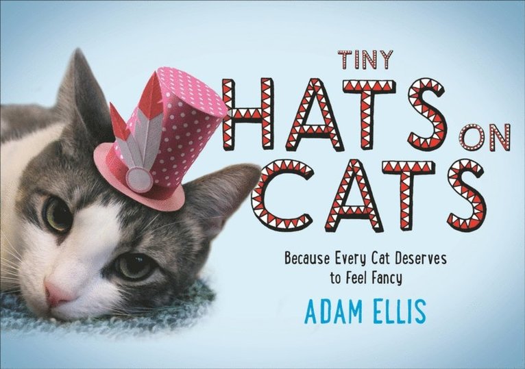 Adam Ellis - Tiny Hats on Cats, E-bok