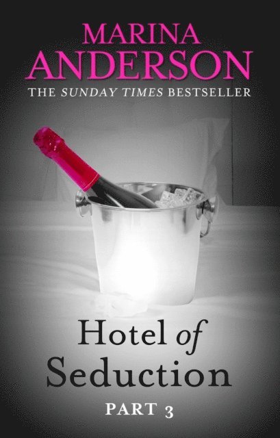Marina Anderson - Hotel of Seduction: Part 3, E-bok