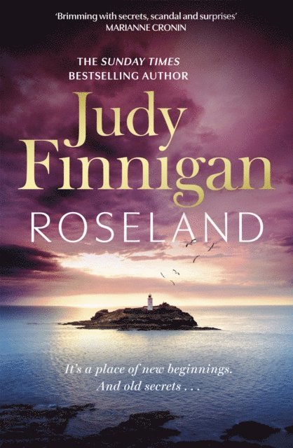 Judy Finnigan - Roseland, E-bok