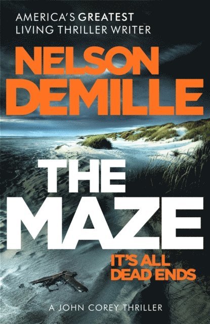 Nelson DeMille - Maze, E-bok