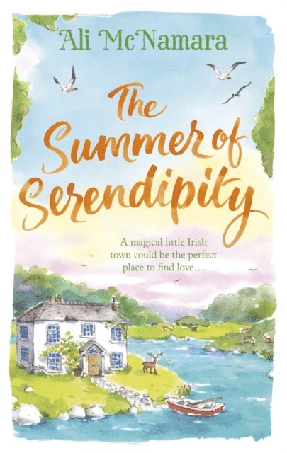 Ali McNamara - Summer of Serendipity, E-bok