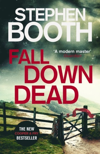 Stephen Booth - Fall Down Dead, E-bok