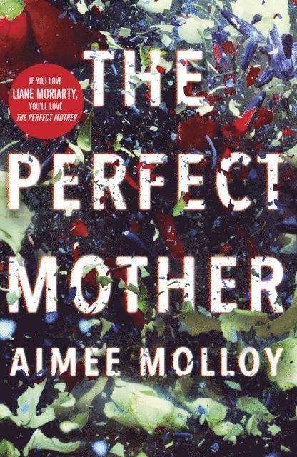 Aimee Molloy - Perfect Mother, E-bok