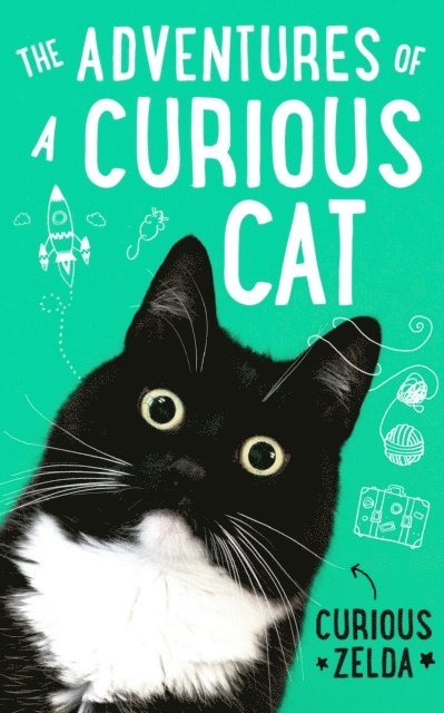 Adventures of a Curious Cat