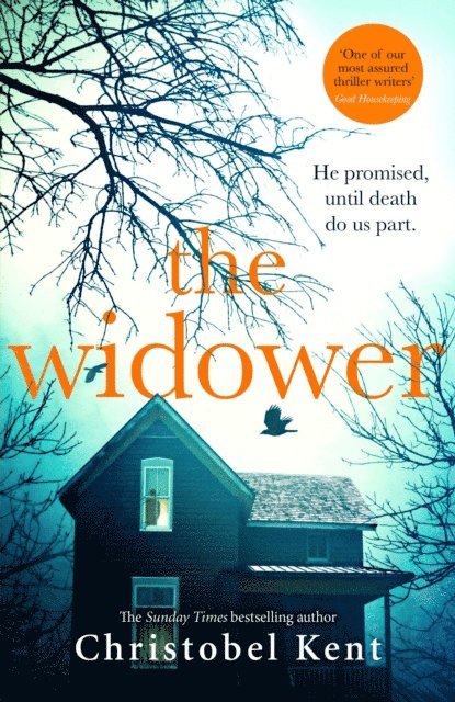 Christobel Kent - Widower, E-bok