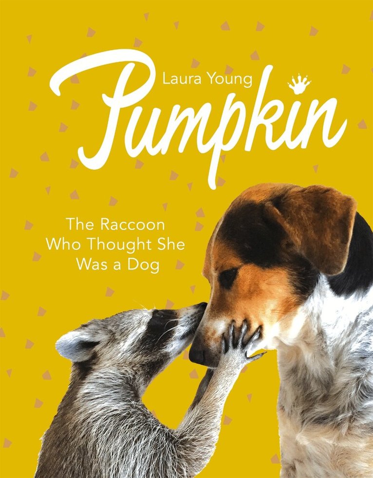 Laura Young - Pumpkin: The Raccoon Who Thought She Was a Dog, E-bok