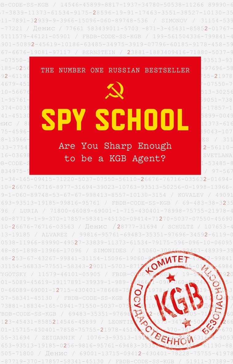 Denis Bukin - Spy School, E-bok