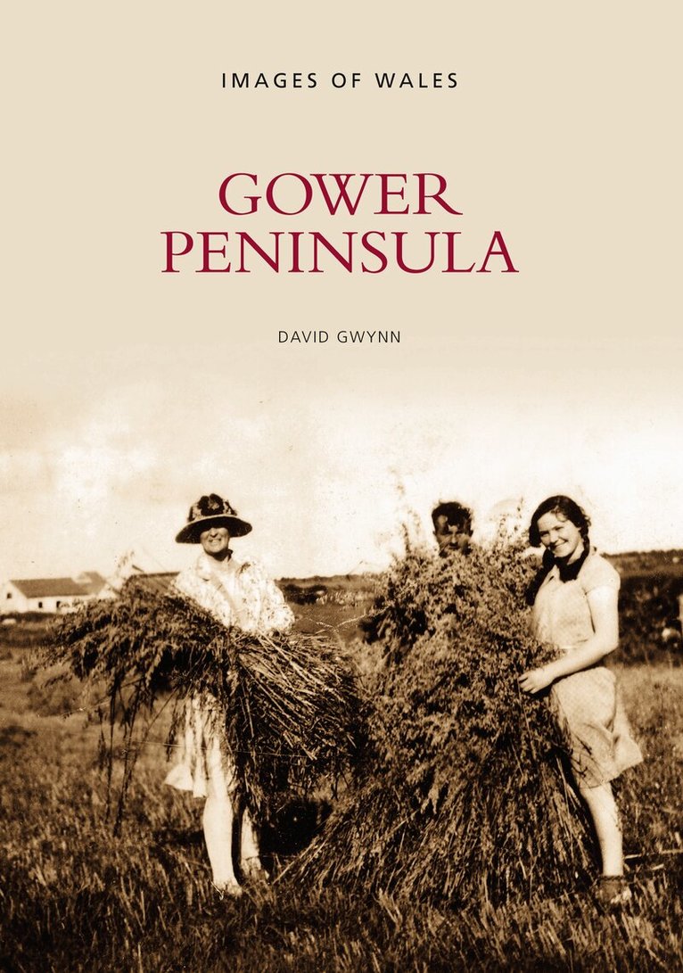David Gwynn - Gower Peninsula, Häftad. Tillgänglighet: Lägg i varukorg