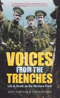 Voices From the Trenches
