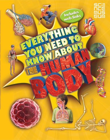 Patricia Macnair - Everything You Need To Know About The Human Body, Häftad
