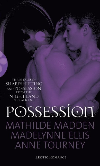 Anne Tourney, Madelynne Ellis, Mathilde Madden - Possession, E-bok