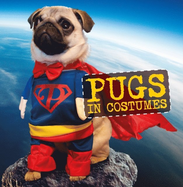 Pugs in Costumes