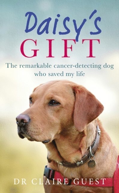 Daisy’s Gift