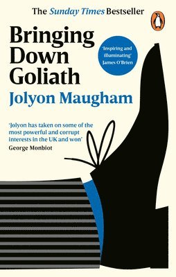 Jolyon Maugham - Bringing Down Goliath, Häftad. Tillgänglighet: Lägg i varukorg