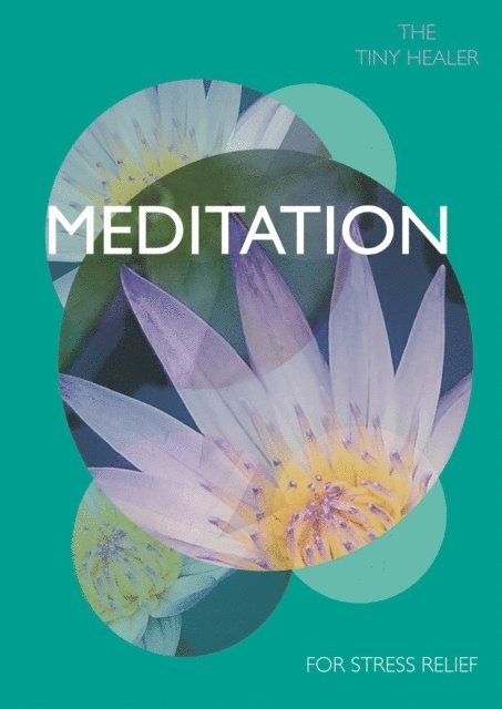 Pyramid - Tiny Healer: Meditation, E-bok