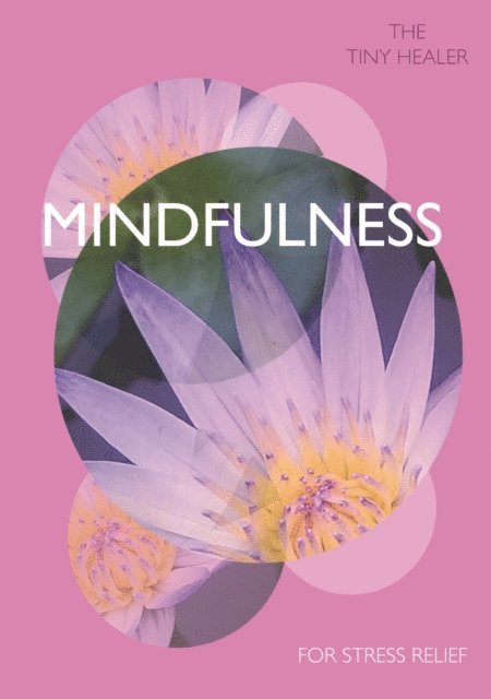 Pyramid - Tiny Healer: Mindfulness, E-bok