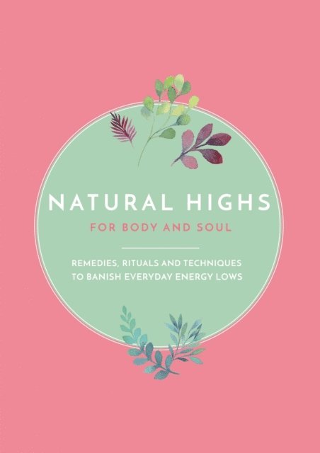 Mary Lambert - Natural Highs, E-bok