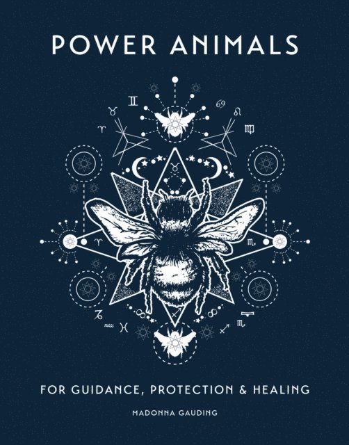 Madonna Gauding - Power Animals, E-bok