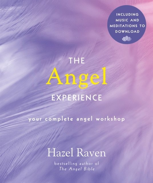 Hazel Raven - Angel Experience, E-bok