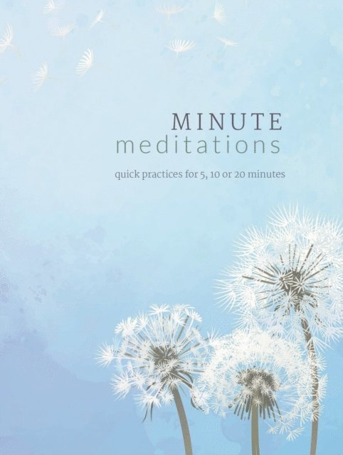 Madonna Gauding - Minute Meditations, E-bok